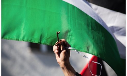 palestina nakba google immagini