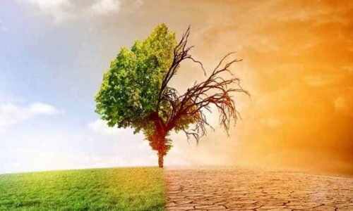 ambiente_resilienti-cambiamenti-climatici