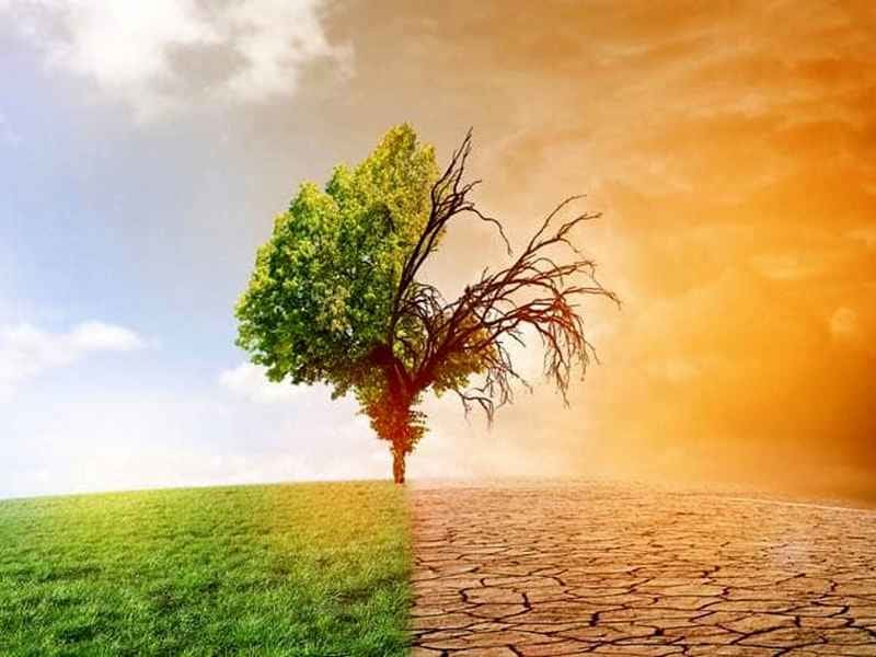 ambiente_resilienti-cambiamenti-climatici