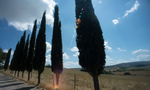 Suvignano-Toscana-Paesaggio