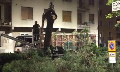 viale Redi 1