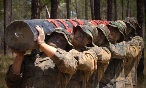 log_teamwork_training_exercise_military_strength_competition_endurance-754409.jpg!d