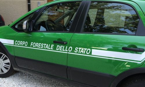 Corpo Forestale Stato_Foto_FirenzePost