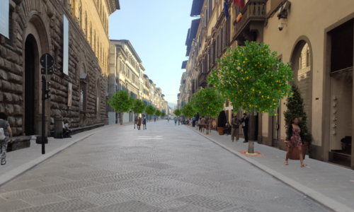 Aranci in via Cavour Foto_CorriereFiorentino