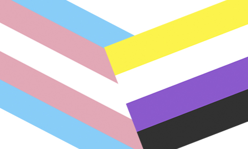 Persone-Trans-e-non-binarie