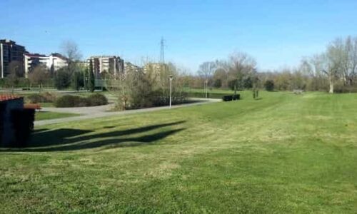 arigingrosso-parco_Foto Firenze Today arigingrosso-parco_Foto Firenze Today