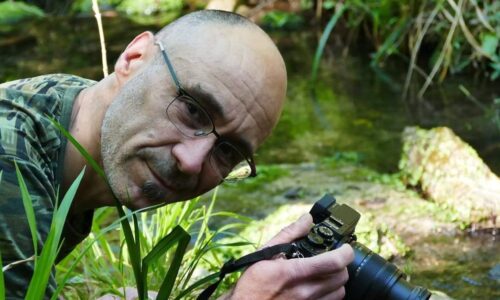 Foto Nicola Fortini