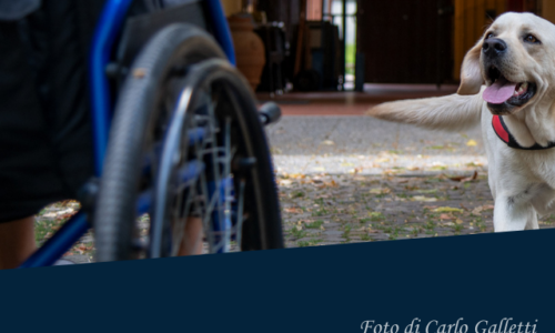 foto disabilità